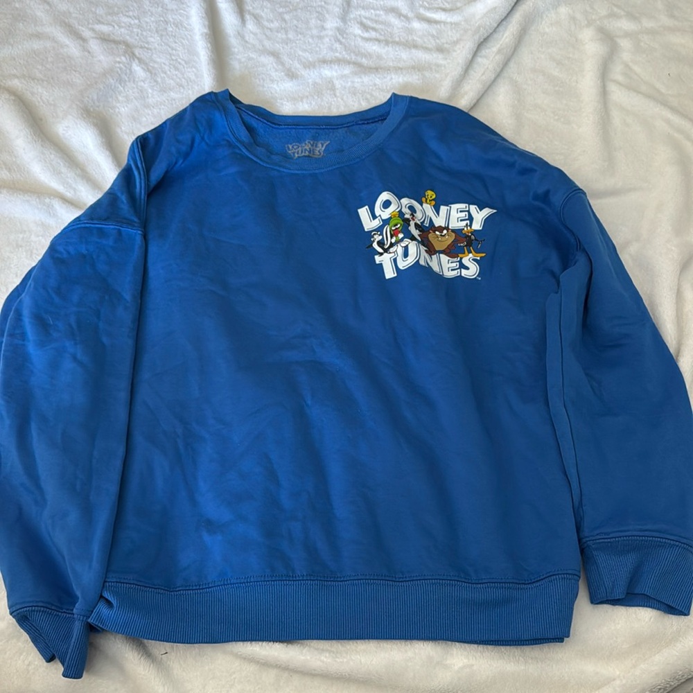 Looney Toons Sweater